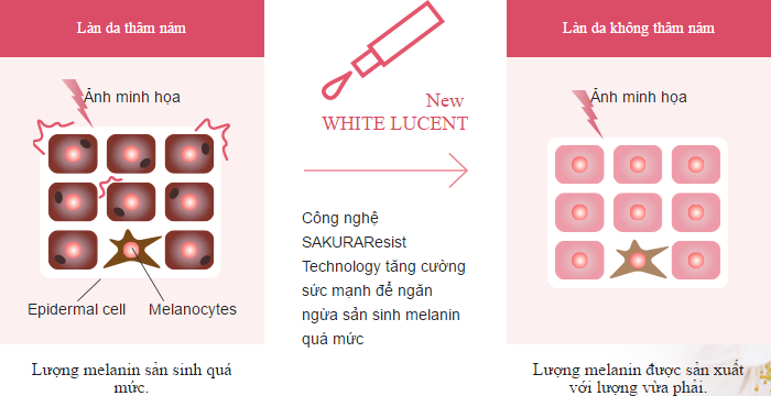 shiseido white lucent 03