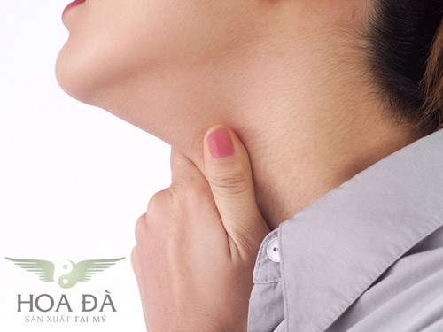 Cách chữa viêm họng hạt bằng cây rẻ quạt hiệu quả bất ngờ