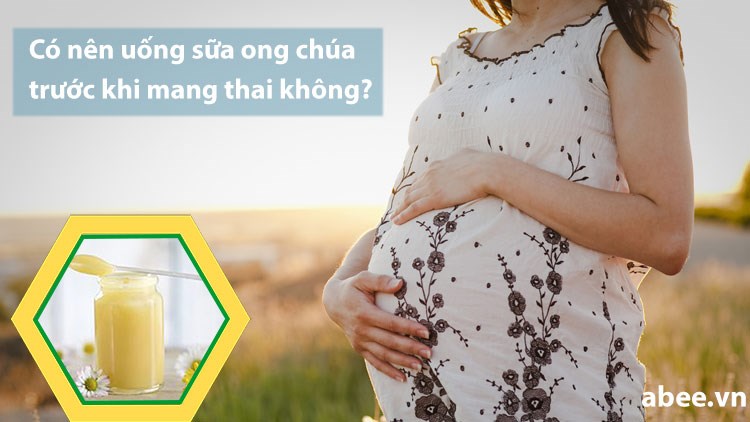co-nen-an-uong-sua-ong-chua-truoc-khi-mang-thai-khong