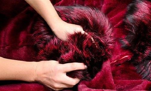 phân biệt chăn lông cừu thật