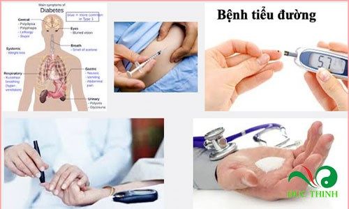 day thia canh chua tri benh tieu duong 1