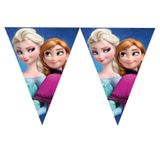 Dây cờ treo Frozen - Frozen bunting