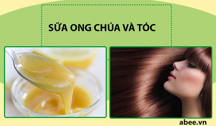 tac-dung-bat-ngo-cua-sua-ong-chua-trong-duong-toc-va-tri-rung-toc