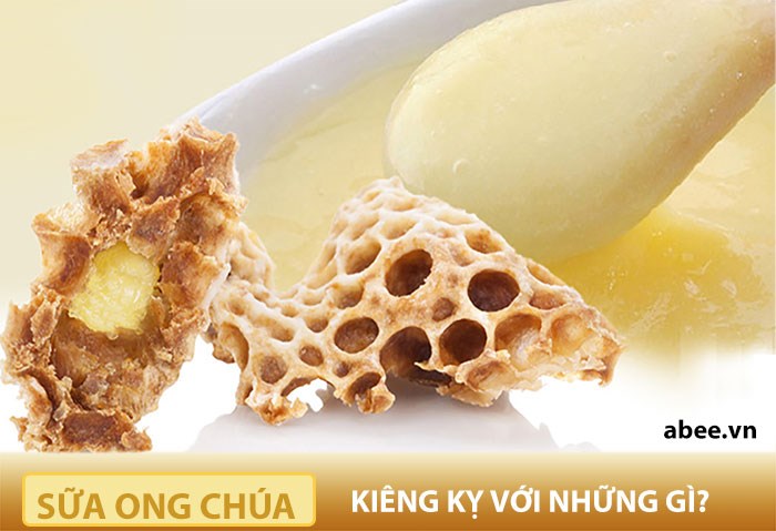 sua-ong-chua-kieng-ky-voi-nhung-gi-va-nhung-ai-nen-kieng-ky-an-sua-ong-chua