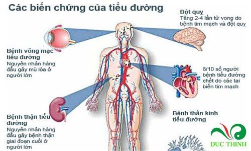 day thia canh chua tri benh tieu duong 1