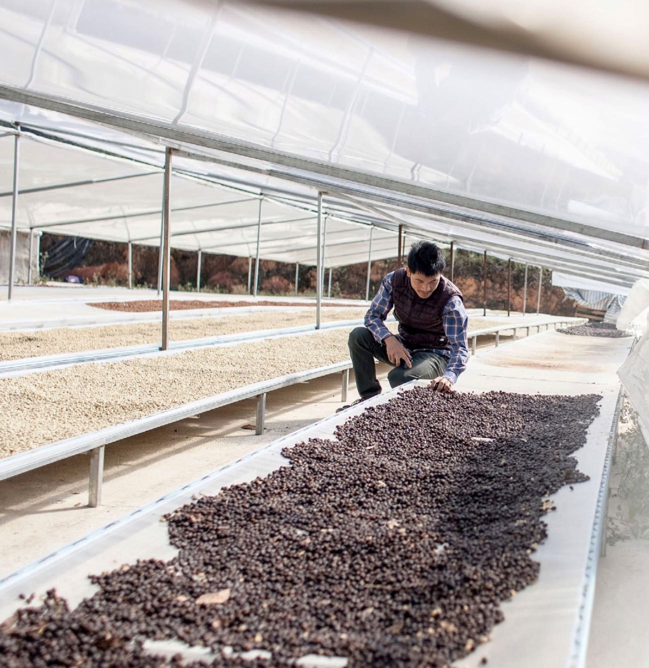 Người có trái tim trên miền Cao Nguyên