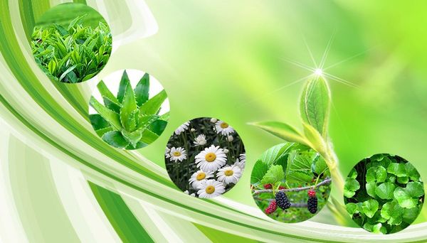 mỹ phẩm Medi White có thực sự tốt như quảng cáo