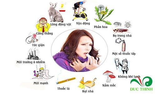 10 tac dung tri benh cua cay mang cau xiem 2
