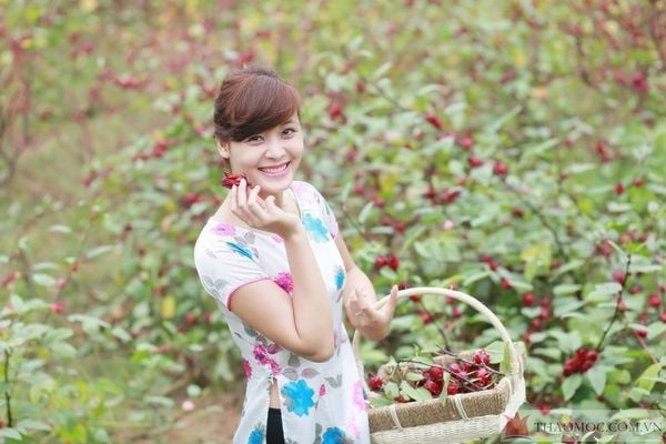 quà biếu sếp 1