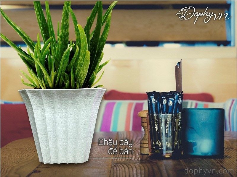 Combo 4 chậu cây để bàn vuông màu trắng trồng cây cảnh trong nhà