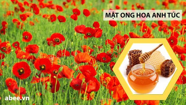 mat-ong-hoa-anh-tuc-thuoc-phien