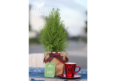 Quà tặng QTNA004