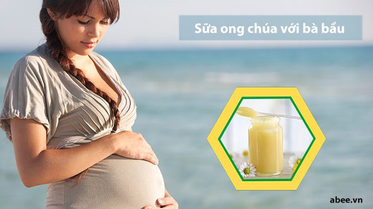 sua-ong-chua-co-tac-dung-gi-voi-ba-bau-va-ba-bau-co-nen-uong-khong
