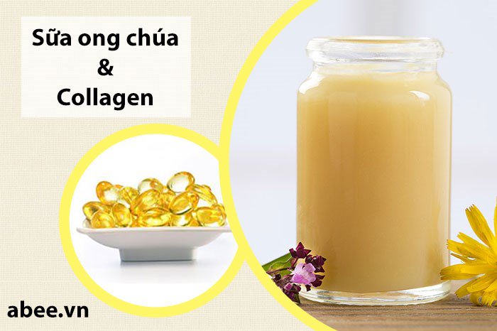 sua_ong_chua_va_collagen_cai_nao_tot_hon