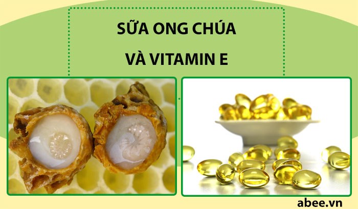 cong-dung-tac-dung-cua-sua-ong-chua-vitamin-e-va-huong-dan-cach-su-dung