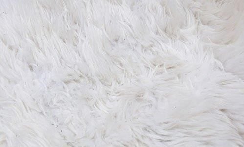 cách giặt chăn lông cừu đúng cách
