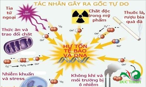 tac dung qua nhau va cach dung 1