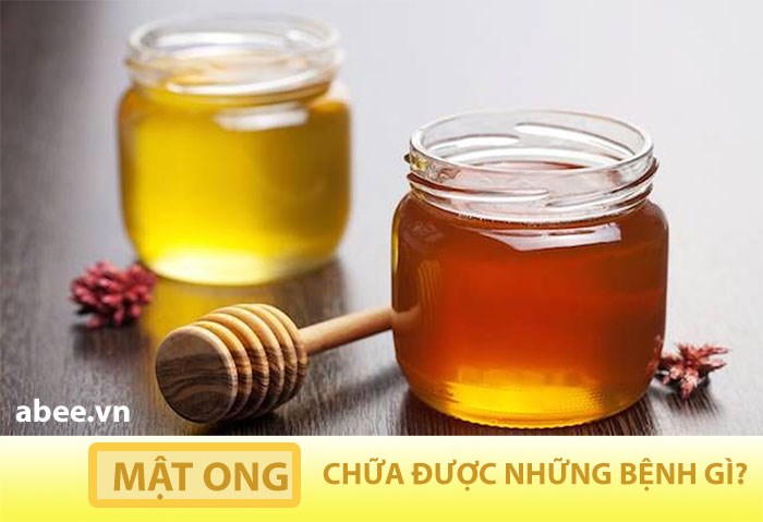 mat-ong-rung-nguyen-chat-chua-tri-duoc-nhung-benh-gi-abee.vn