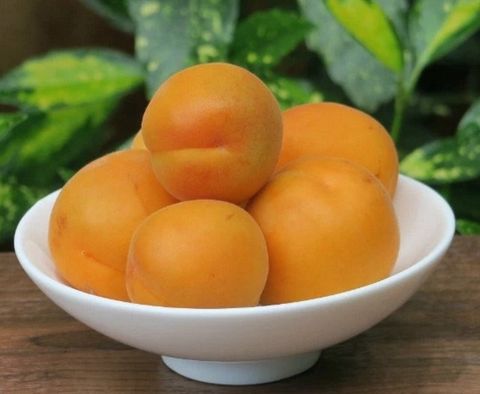 Bí quyết làm trắng da toàn thân nhanh nhất