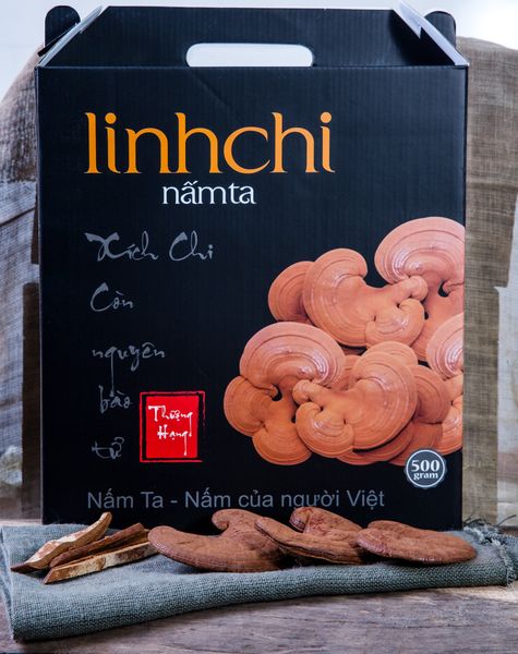 nấm linh chi nấm ta