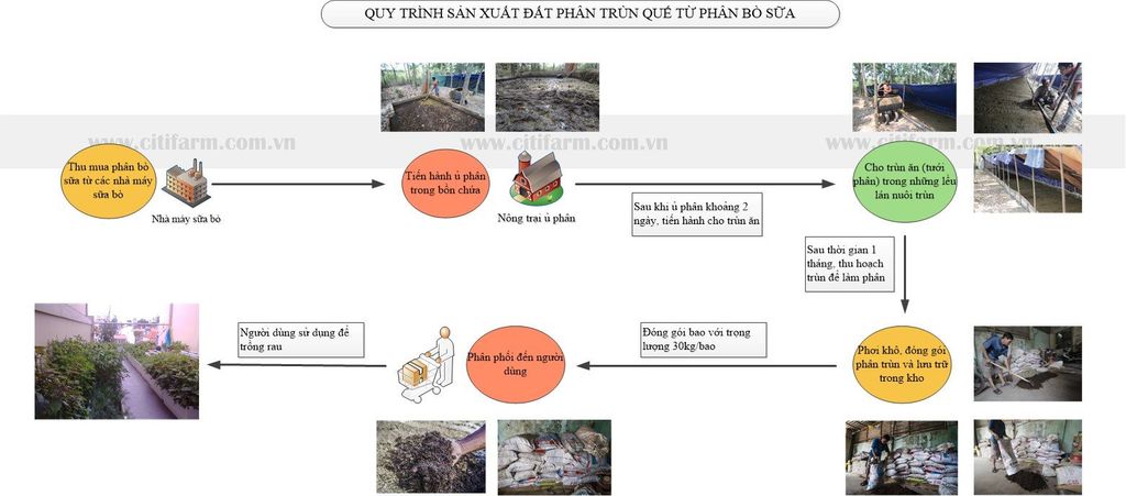 quy trình sản xuất phân trùn quế