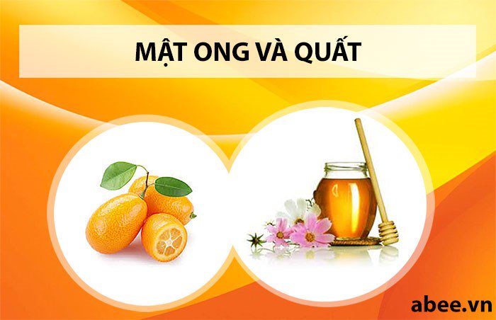 tac-dung-mat-ong-quat-va-cach-lam-quat-ngam-mat-ong-chua-tri-ho
