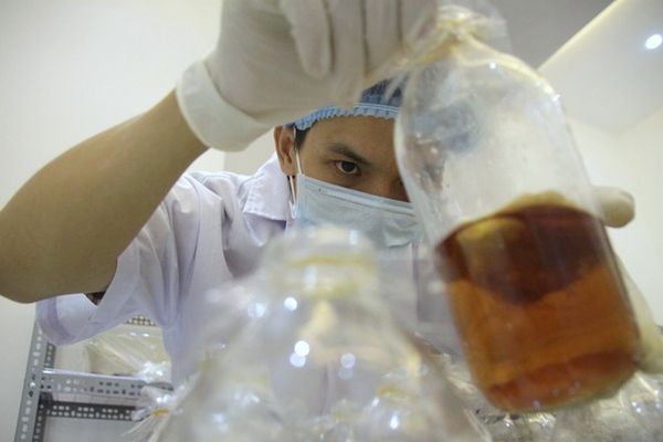 kỹ sư ngô kim lai trong phòng thí nghiệm công ty