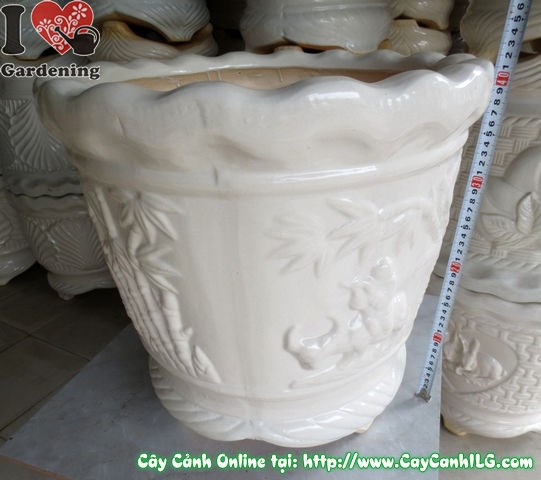 Gợi ý cây cảnh trồng phù hợp với chậu Ba Chân Men Trắng