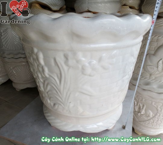 Chậu ba chân men trắng tứ quý cao 42cm nhìn từ góc nghiêng