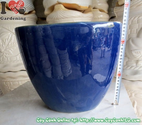Chậu bầu dục men xanh dương trồng cây cảnh Ms 04842