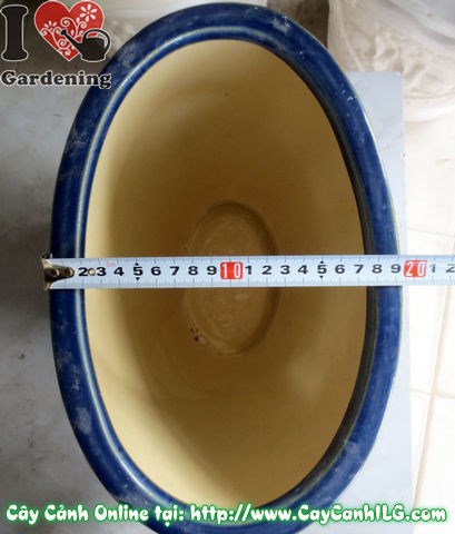 Chậu bầu dục men xanh dương Ms 04842 góc nhìn trên xuống