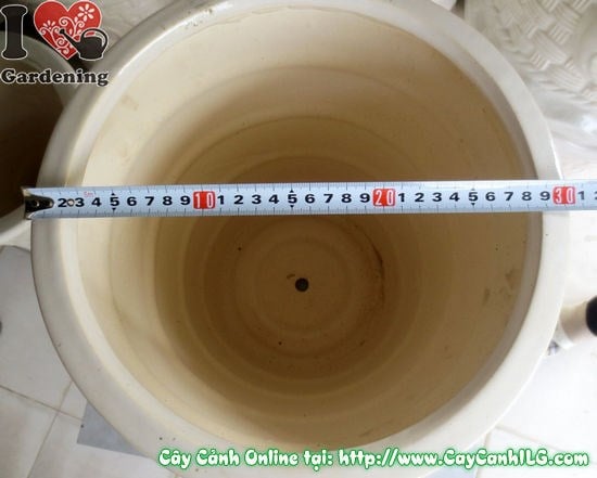 Chậu giỏ men trắng tròn mẫu 2 nhỏ – góc nhìn từ trên xuống