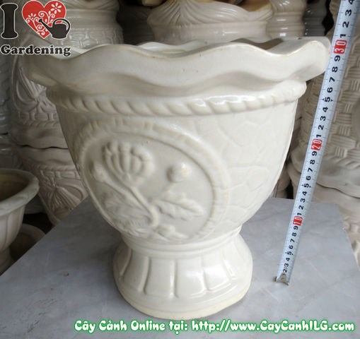 Chậu ly men trắng tròn mẫu 2 – góc nhìn từ trên