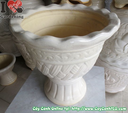 Chậu Ly Men Trắng Tròn Mẫu 3 – góc chụp chi tiết men trắng