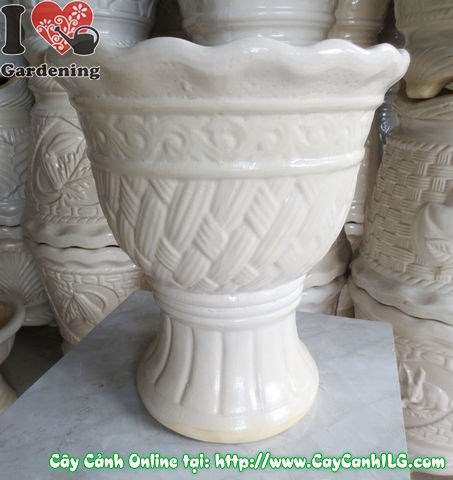 Chậu Ly Men Trắng Tròn Mẫu 3 – ứng dụng trồng cây cảnh