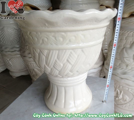 Chậu Ly Men Trắng Tròn Mẫu 3 – hình thực tế góc nghiêng