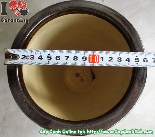 Chậu men đen tròn nhẵn cao 16cm Ms 04897 - mặt trước