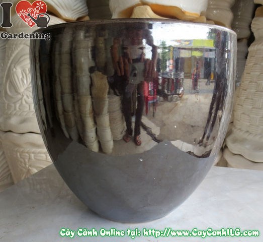 Chậu men đen tròn nhẵn – phối hợp với cây cảnh trong nhà