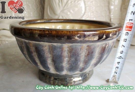 Lý do chọn Chậu Men Nâu Đen ILG – chất lượng và uy tín