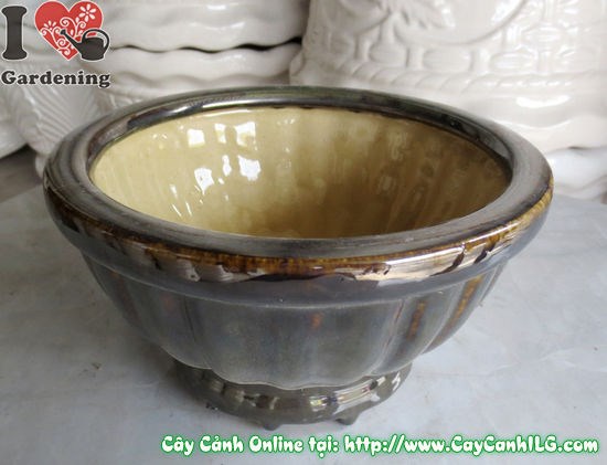 Chi tiết bề mặt men bóng của Chậu Men Nâu Đen Tròn