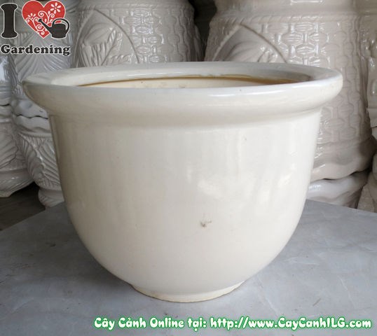 Chậu men trắng tròn thấp mẫu 3 cao 22cm - thiết kế sang trọng