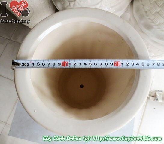 Hình ảnh chậu trúc men trắng tròn thắt đáy mẫu 1 ms 04847 cao 34cm