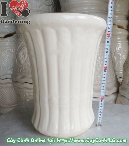 Chậu trúc men trắng tròn thắt đáy mẫu 1 - ứng dụng không gian trang trí