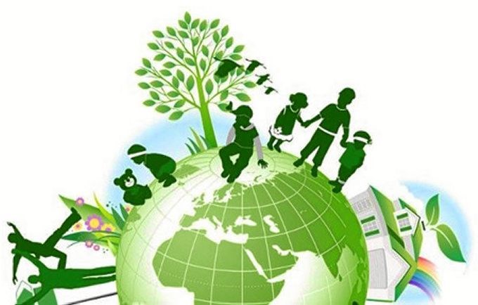 Cây cảnh ILG – cung cấp sỉ lẻ cây xanh các loại