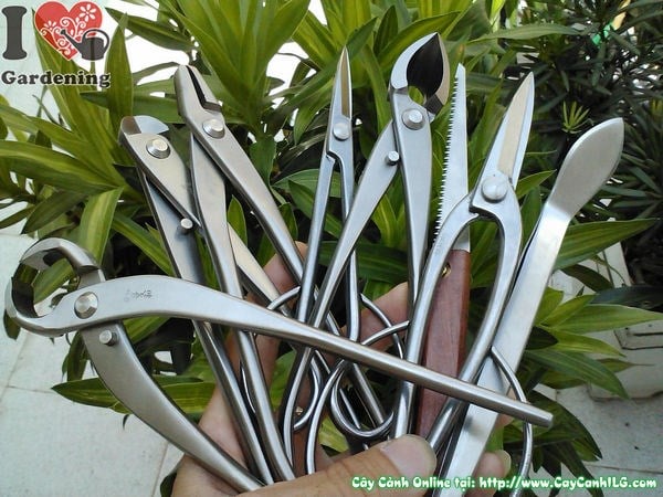 bình xịt và dụng cụ tưới cây chuyên dụng