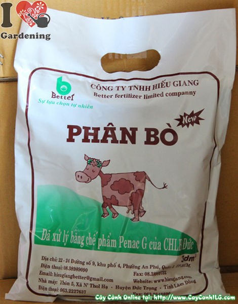 Phân bò trồng cây đã qua xử lý của ILG Landscape