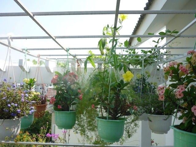 Hệ thống tưới phun mưa tự động cho thảm cỏ và vườn cảnh quan