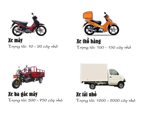 Dịch vụ vận chuyển cây cảnh toàn quốc tại ILG