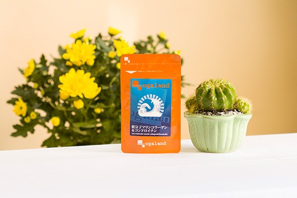 vien uong dep da ogaland chonroitin va collagen des