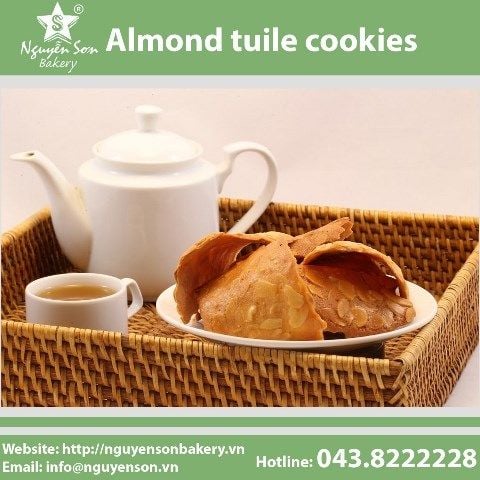 Almond tuile cookies